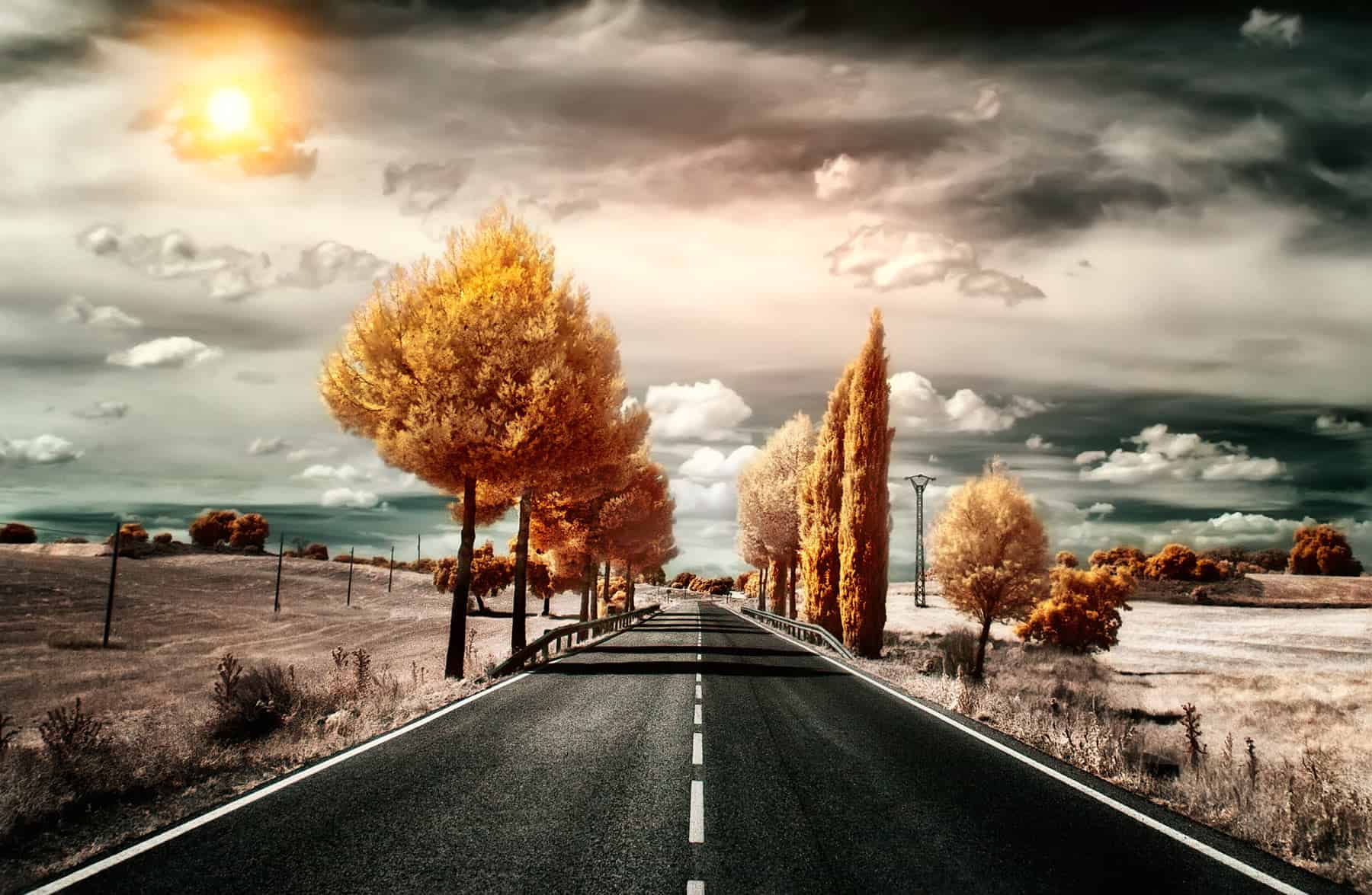 Pedro Fernandez Aguado