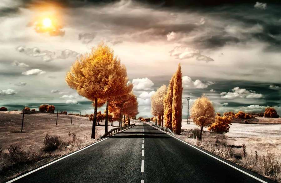 Pedro Fernandez Aguado