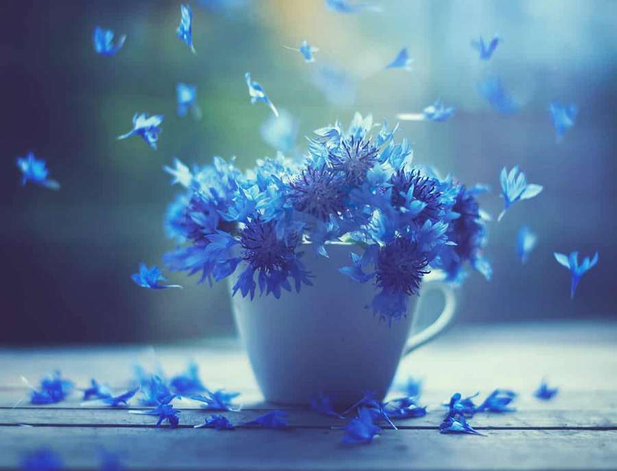 Ashraful Arefin