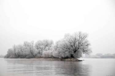 Frost
