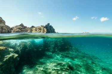 Underwater photography