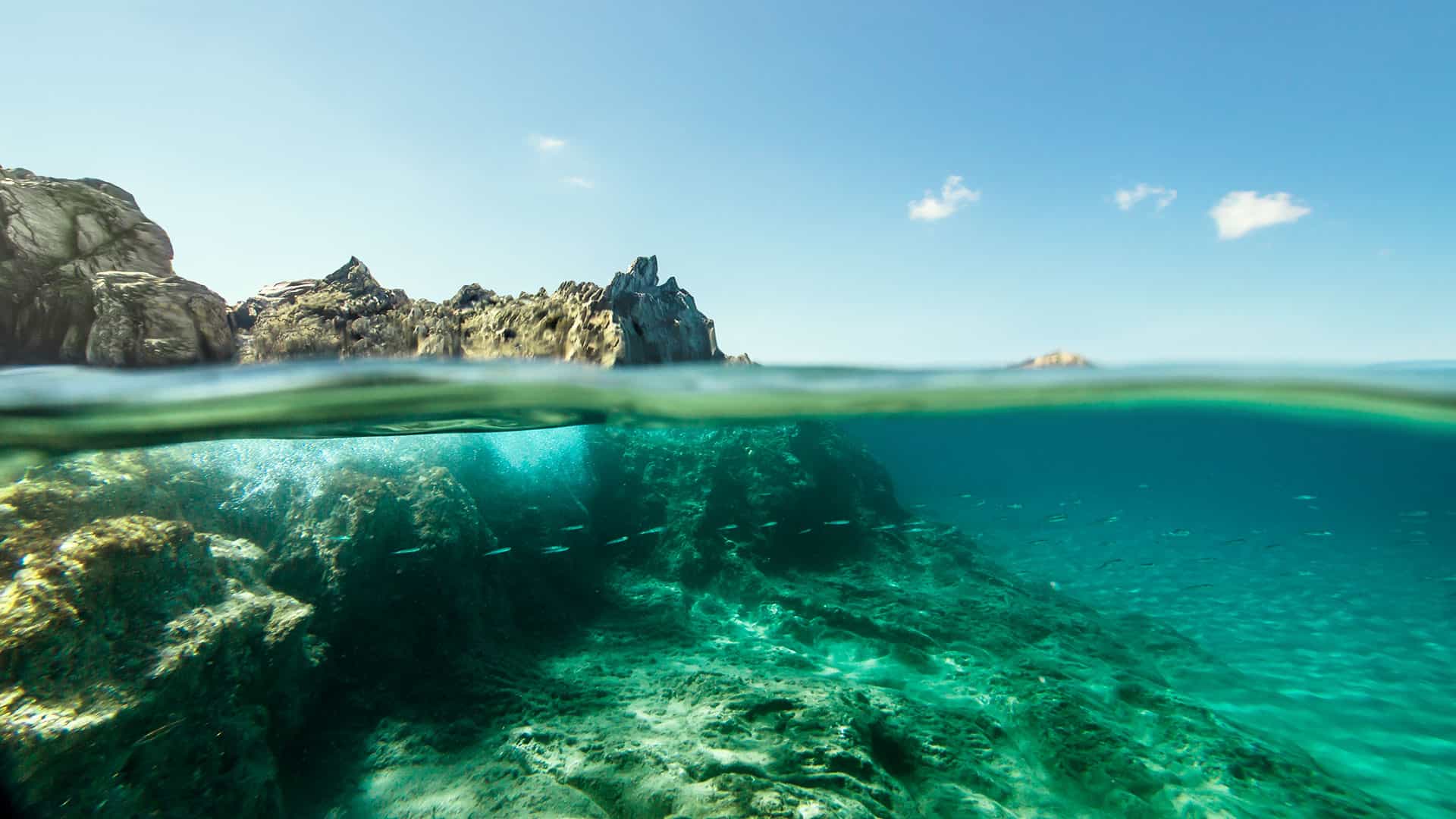 Underwater photography